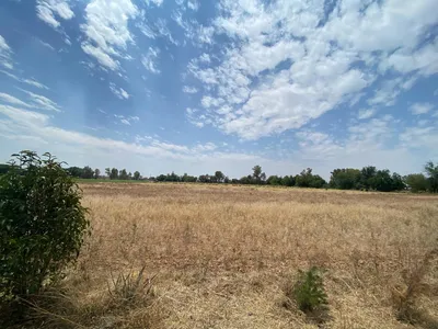 Terreno en renta