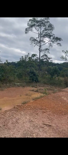 Imagem 2 de 6 de Chácara Em Guarulhos