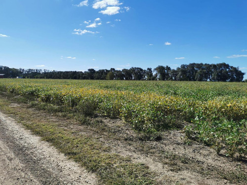 Lote En Venta Chacras De San Andrés- Carlos Keen- Villa Ruiz- Luján