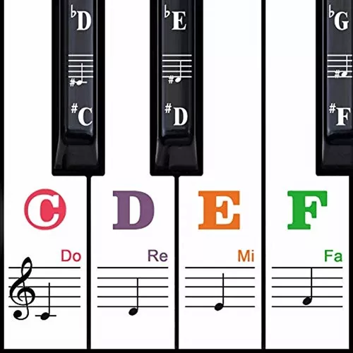 Pegatinas para teclado para teclas 88/61/54/49/37. Letra más