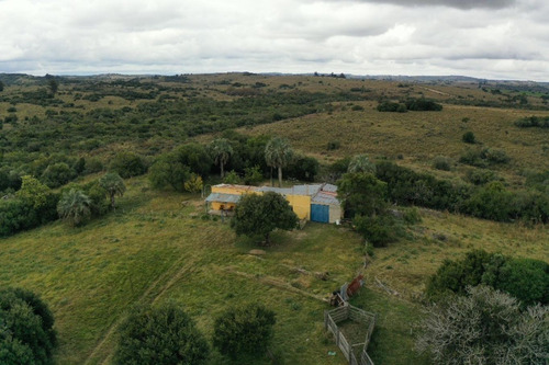 Venta De Campo De 70 Hectareas En Sierras De Garzon - Paso De La Cantera