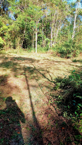 Vendo Um Sítio De 49.000 Metros Com Represa Dentro