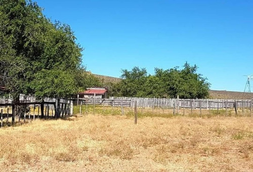 Imagen 4 de 6 de Terreno - El Cuy