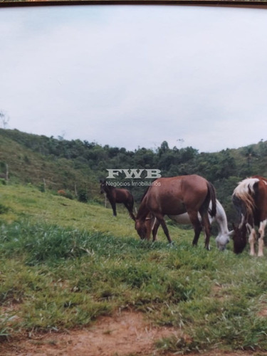 Imagem 4 de 28 de Fazenda Em Rio Preto Minas Gerais - 2044007423 - 67629041