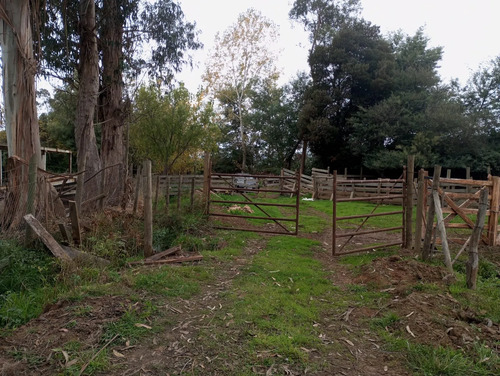 Vendo 3,56 Ha De Terreno, Especial Para Cultivo De Avellano,
