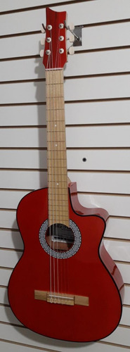 Guitarra Acústica Clásica+ Forro+ Método Pick+envío Gratis