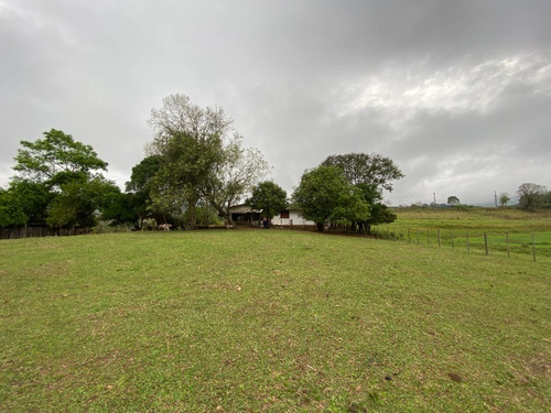 Chácara 19.000 M² - Santa Cruz - Gravataí - Rs - 2447 - 68463646