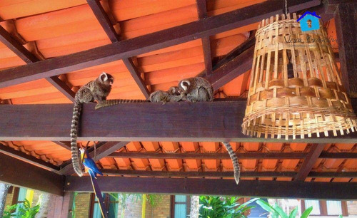Imagem 7 de 30 de Lindo Hotel Pousada No Morro Do Careca (cartão Postal De Natal) - Po0029