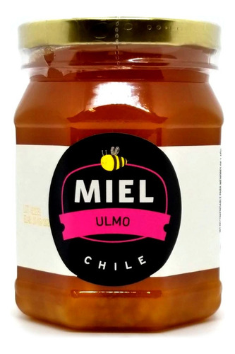 Imagen 1 de 7 de Miel De Abeja Pura Ulmo 500g Cruda - Jpm
