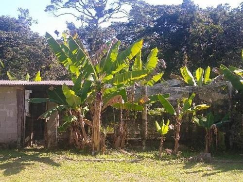 Excelente Chácara De 14 Mil Mts Em Itanhaém Sp - 3642 | Npc