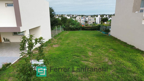 Lote En Venta En Tejas 4