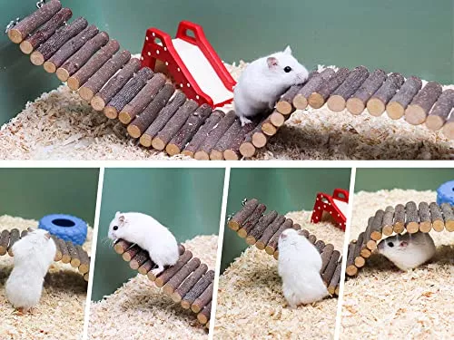 NUSITOU Escada De Escalada Para Hamster Brinquedos De Madeira Brinquedos  Para Periquito Brinquedos Para Mastigar Escada Para Hamster Anão Brinquedos  Para Mastigar Escada De Hamster