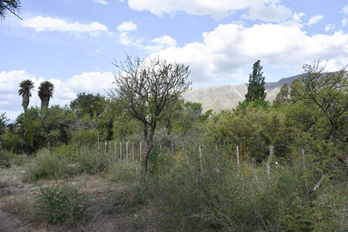 Venta Lote 2300 San Luis San Francisco Del Monte De Oro