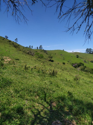 Imagem 10 de 28 de E12 Vendo Terreno Com Área Verde E Lagos Para Pescar Direto Com O Proprietário