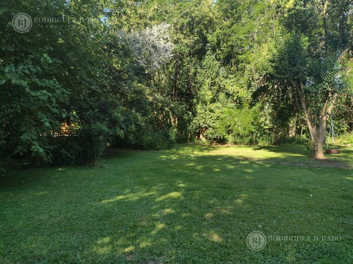 Imagen 24 de 30 de Casa En Venta En Zelaya 3.040m2, Increíble Arboleda