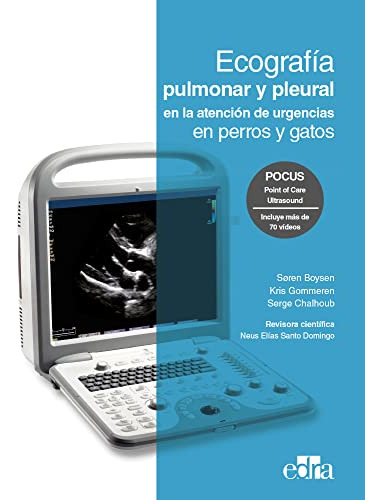 Ecografia Pulmonar Y Pleural En La Atencion De Urgencias En 