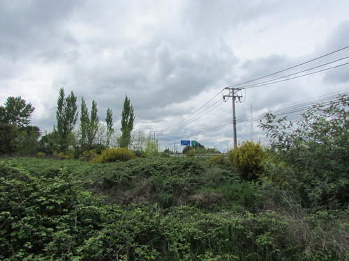 Parral. Inmediato A Cruce Con Ruta 5.