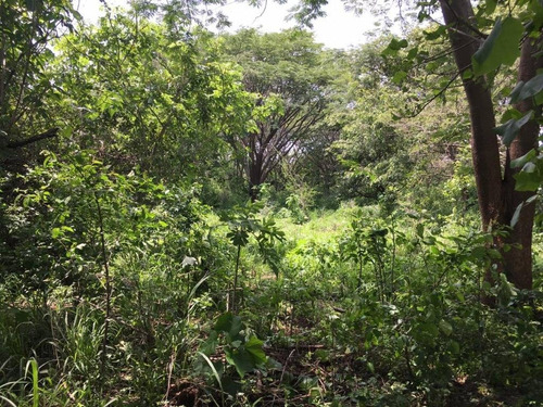 Imagen 20 de 30 de 33 Has Cerca De Altozano El Nuevo Colima