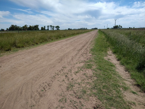 Imagen 5 de 12 de Campo En Venta En Lobos- Carboni