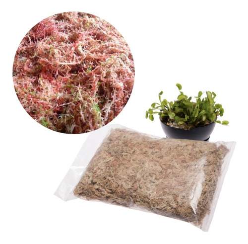 Musgo Sphagnum Orquideas Bonsai Sustrato Bolsa X 3 Litros 