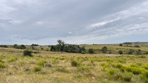 Campo 26 Has Sobre Camino Los Molles