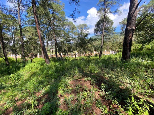 Imagen 6 de 11 de Terreno En Venta En San Gabriel Ixtla, Valle De Bravo