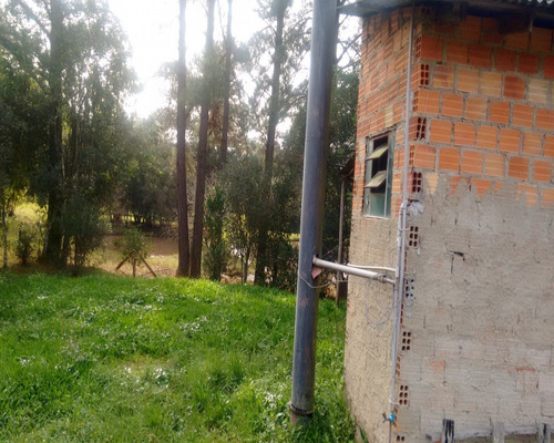 Chácara 2.500 M² - Morungava - Gravataí - Rs - 1487 - 32420008