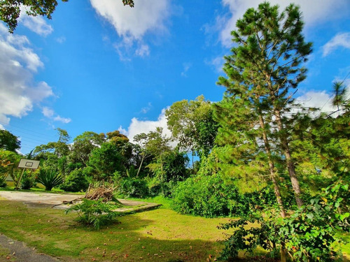 Imagem 4 de 15 de Chácara Para Venda Em Mogi Das Cruzes, Jardim Nathalie, 4 Dormitórios, 1 Suíte, 4 Banheiros, 3 Vagas - 2999_2-1156865