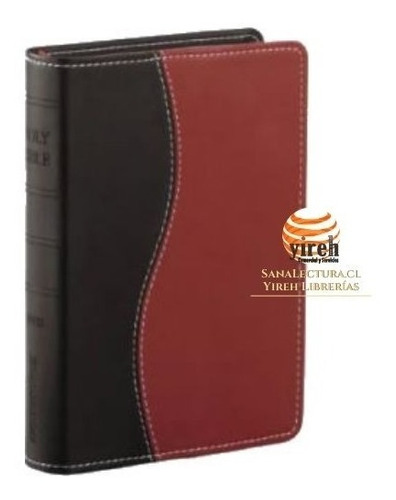 Biblia De Estudio Serie 50 Rvr 1960, Dos Tonos Italiano