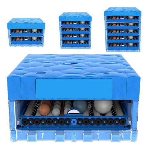 Venta Gallinas Ponedoras Rojas Incubadora 64 Huevos A07