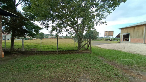 Imagem 13 de 15 de Pavilhao - Vila Manaus - Ref: 37482 - V-37479