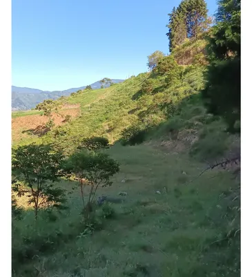 Lote y casalote en venta