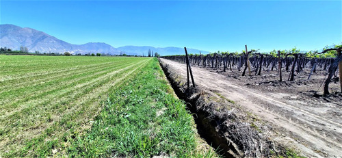 En Venta Parcela En San Rafael, San Felipe, 75.600 M2., En P