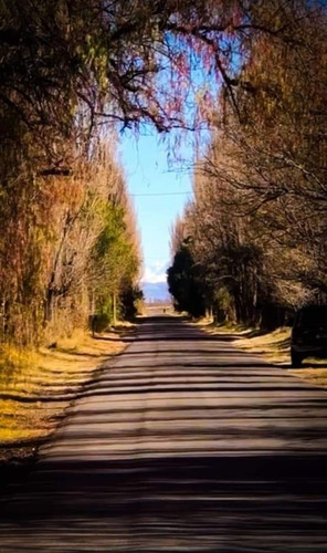 Imagen 1 de 5 de Inverti En San Rafael- Mendoza