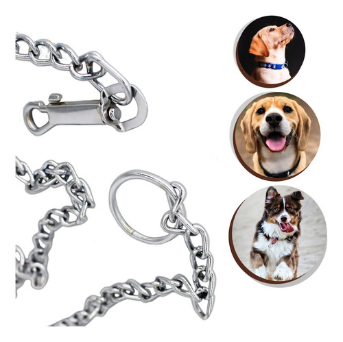 Imagem 5 de 7 de Coleira Cachorros Corrente Guia Cães Dog Pet Resistente 1,5m