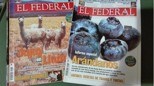 Revistas El Federal. Lotes De Revistas En Excelente Estado