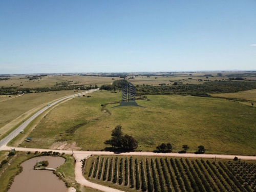 Campo En Venta - Ref: 718