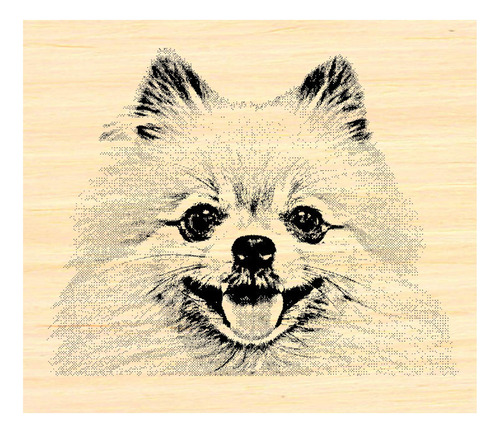 Pomeranian Perro Sello Hule P35