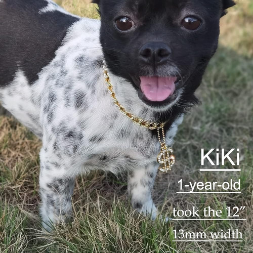 Glitter King Gold Collar Para Perros 14 Mm / 20 Mm Cadena Pa