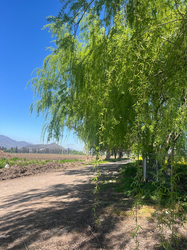 Venta Parcela 5000mts San Fernando