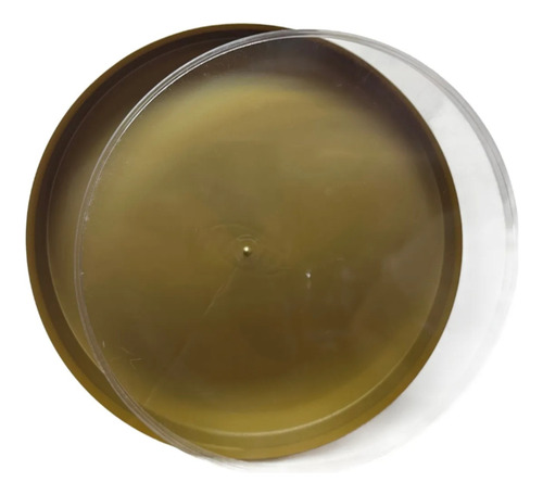 Bandeja Dulce Golosinas/souvenir 20x20x3,4 - 50 Unidades