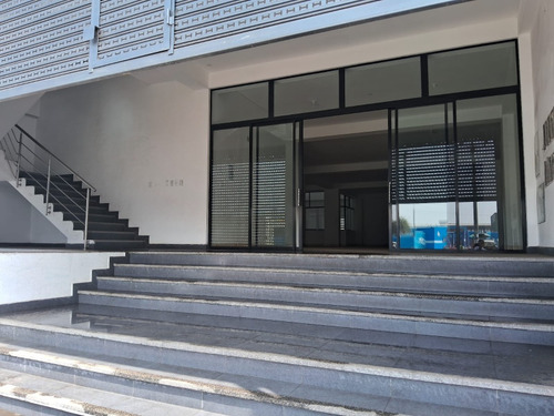 Alquiler Local Comercial 380 M2 Piso 1 Frente Mdo. Mayorista