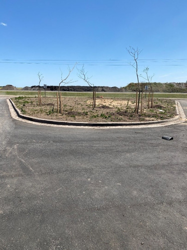 Vendo Terreno En Villa Amelia Posesion En Mayo 2021