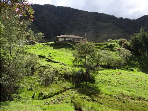 Finca En Venta La Unión Via Abejorral Antioquia. 83 Hectareas