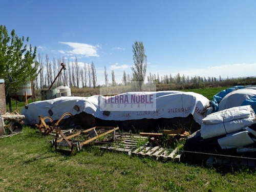 Imagen 11 de 17 de Permuto Por Casa Finca Agroganadera