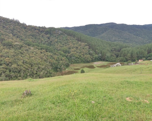 Imagem 29 de 30 de Fazenda Bem Localizada À Venda Em Juquitiba. - 15 - 32982853