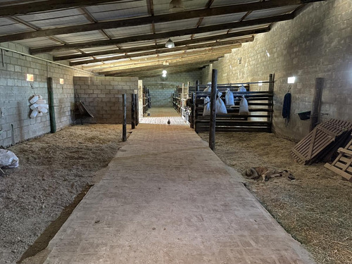 Imagen 20 de 21 de Venta Ideal Inversores (local Gastronimico-caballerizas) - La Reja Sur