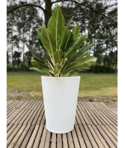 Imagen 3 de 6 de Maceta Cono 57 Cm Plástica Rotomoldeada Simil Piedra + Plato