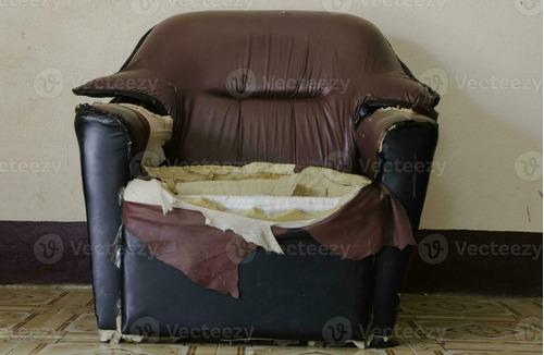 Sillon Roto Para Perro