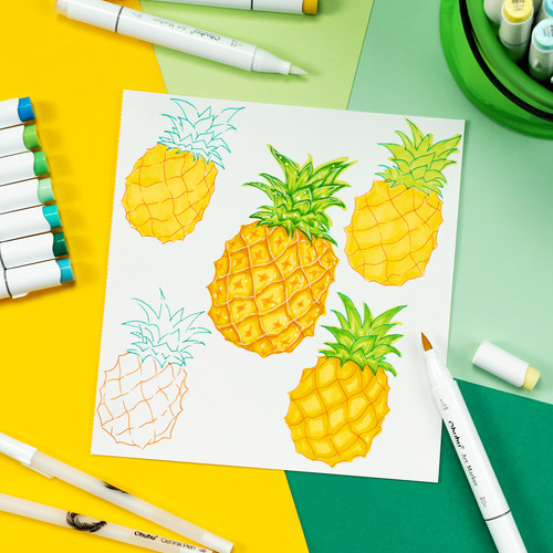 Conjunto De 72 Canetas Ohuhu Color Alcohol Markers Honolulu